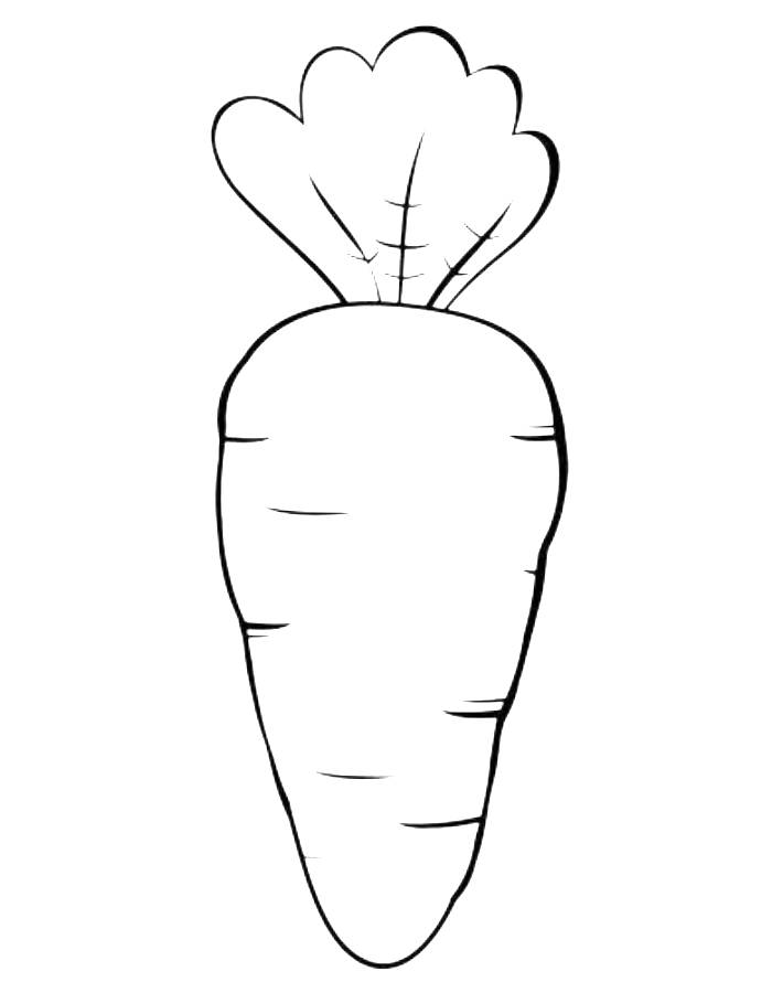 108 Carrot Coloring Pages Printable 67