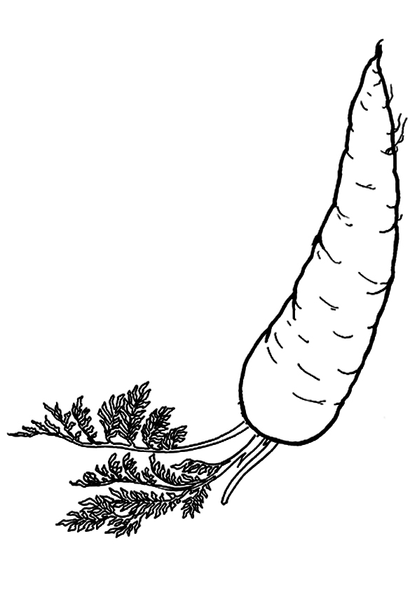 108 Carrot Coloring Pages Printable 69