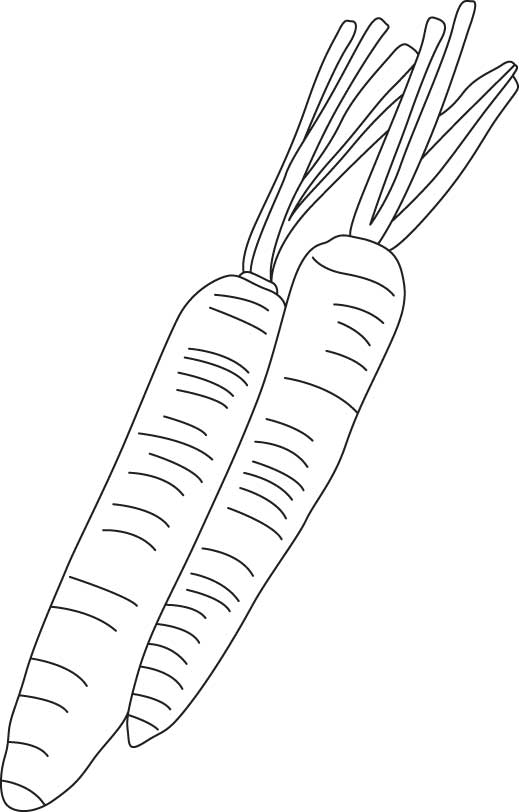 108 Carrot Coloring Pages Printable 95