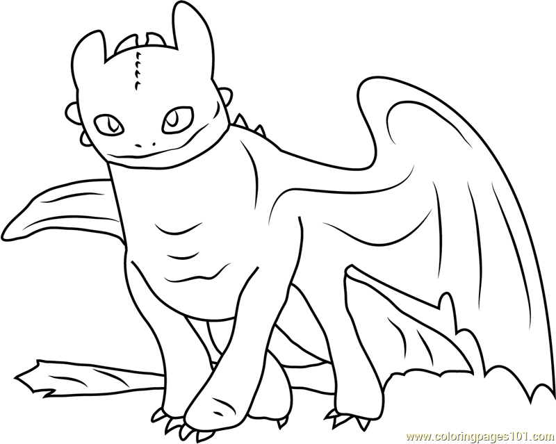 115 Toothless Coloring Pages Printable 66