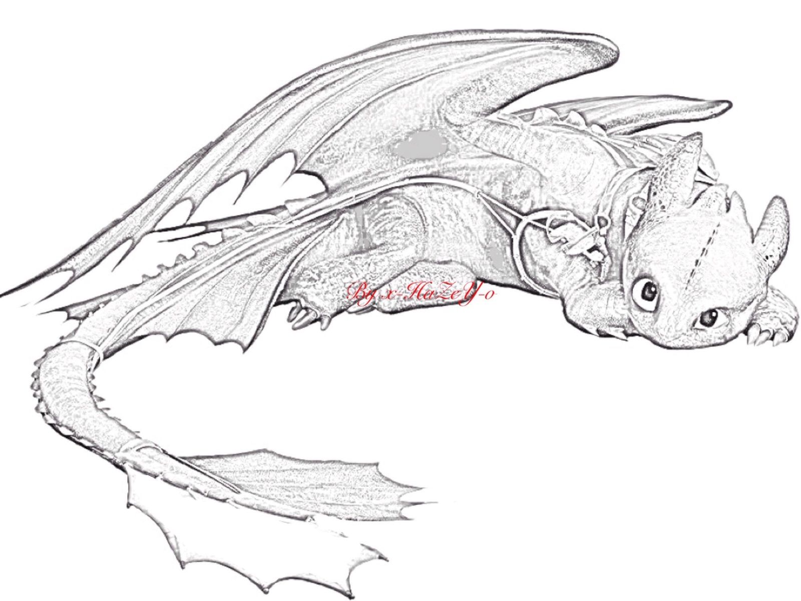 115 Toothless Coloring Pages Printable 73