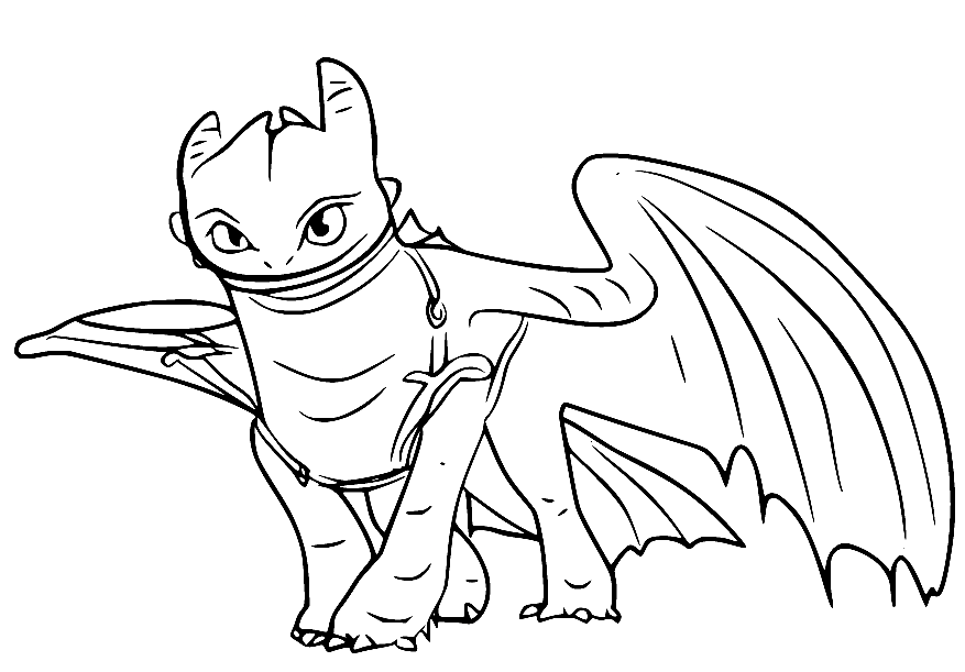 115 Toothless Coloring Pages Printable 83