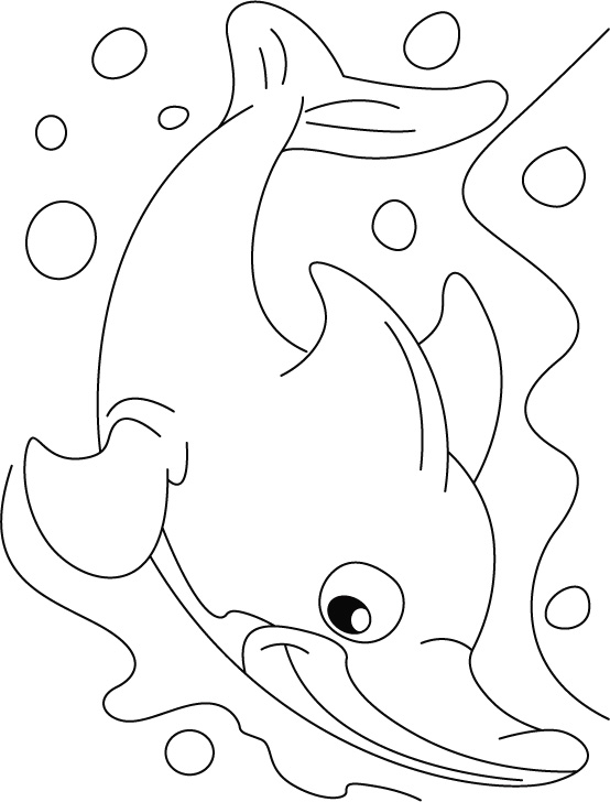 125 Free Printable Dolphin Coloring Pages for Kids 108