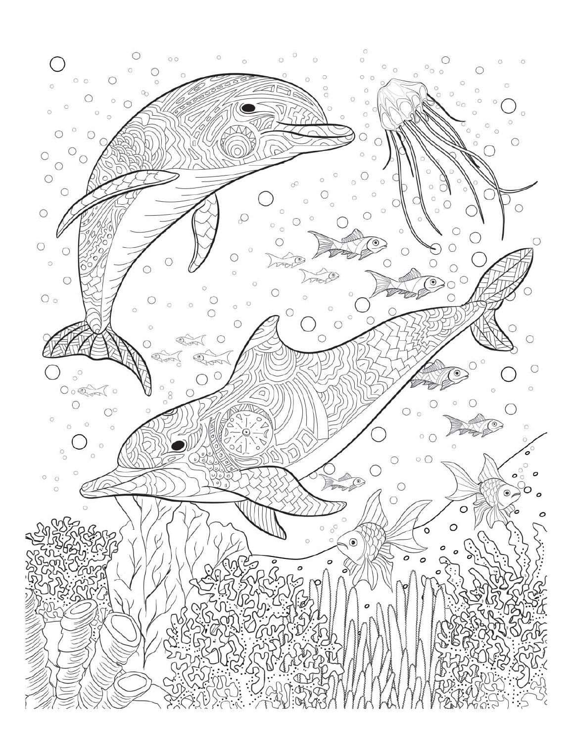 125 Free Printable Dolphin Coloring Pages for Kids 120