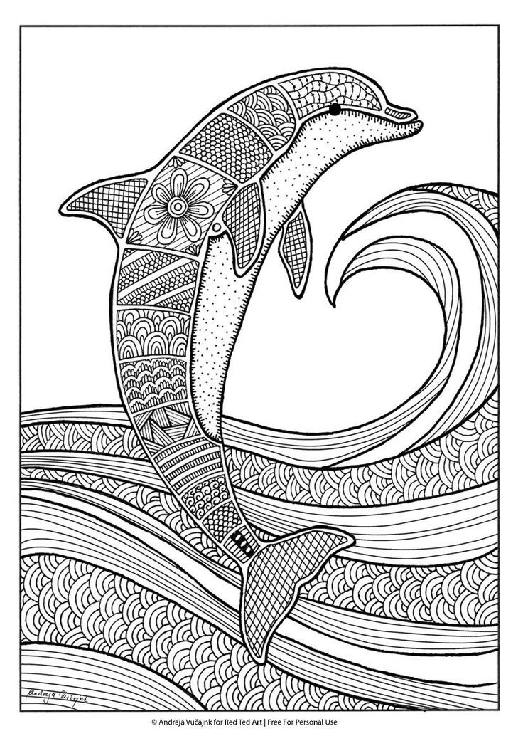 125 Free Printable Dolphin Coloring Pages for Kids 19