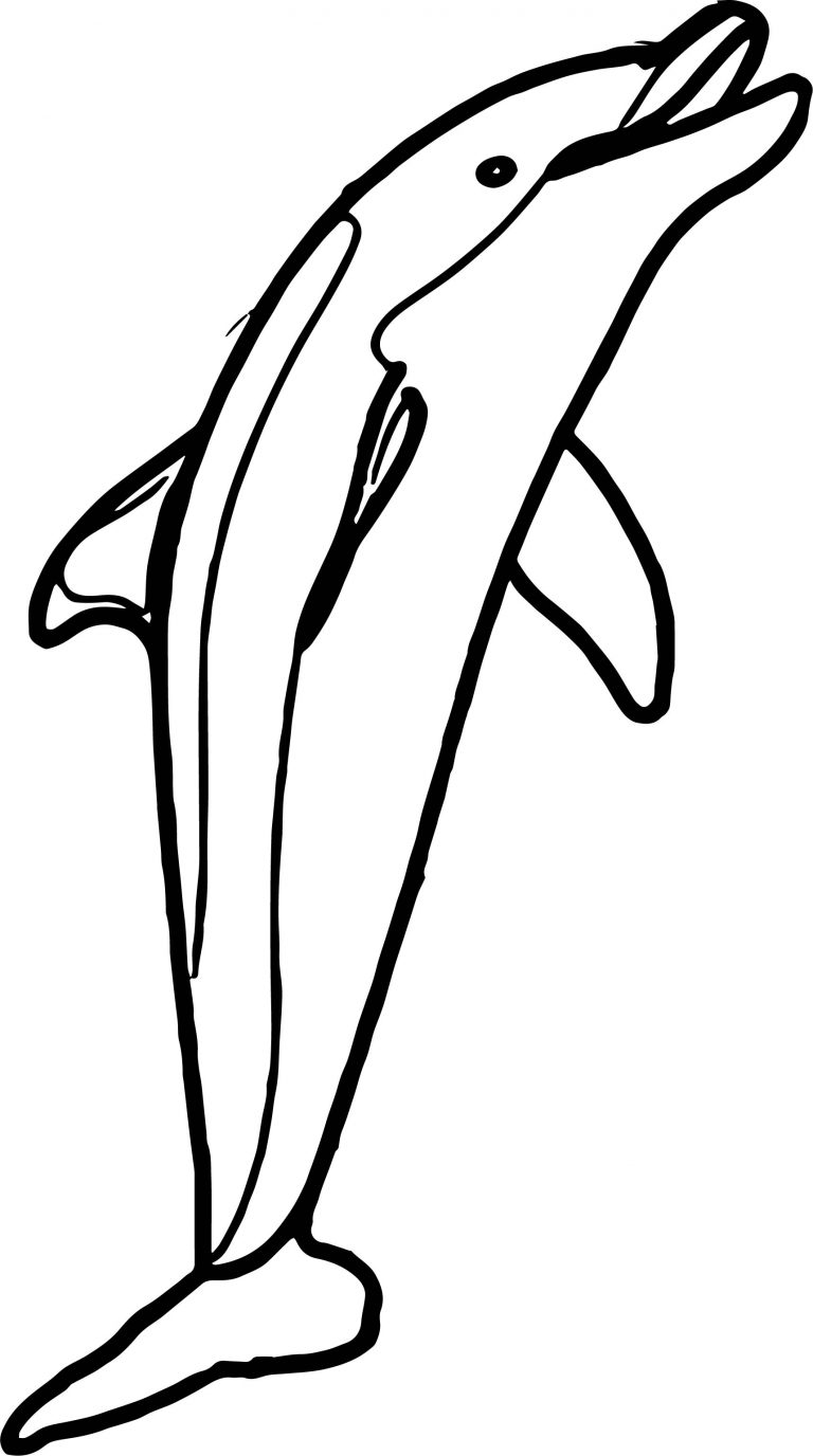 125 Free Printable Dolphin Coloring Pages for Kids 27