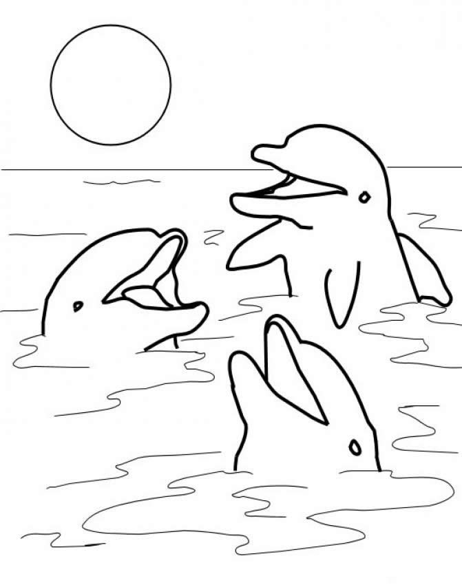 125 Free Printable Dolphin Coloring Pages for Kids 3