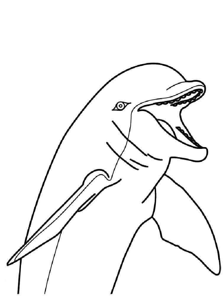 125 Free Printable Dolphin Coloring Pages for Kids 35