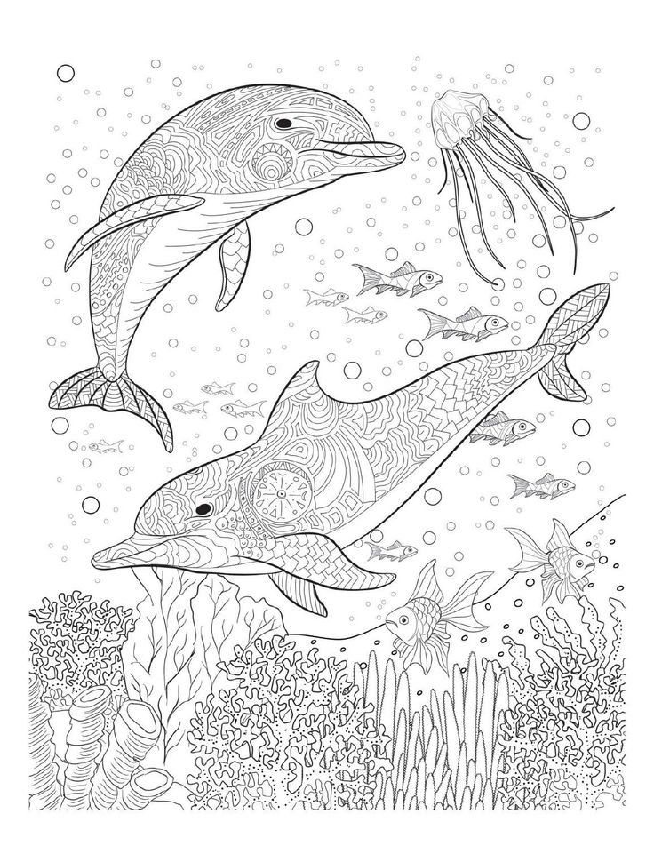 125 Free Printable Dolphin Coloring Pages for Kids 47