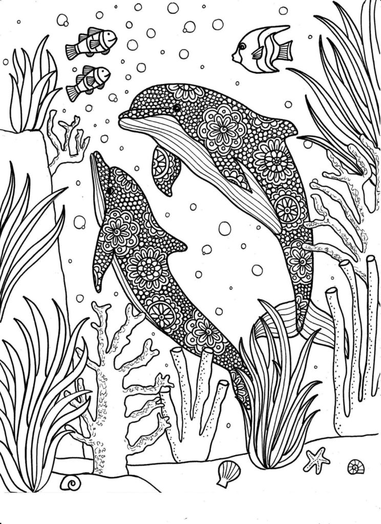 125 Free Printable Dolphin Coloring Pages for Kids 55