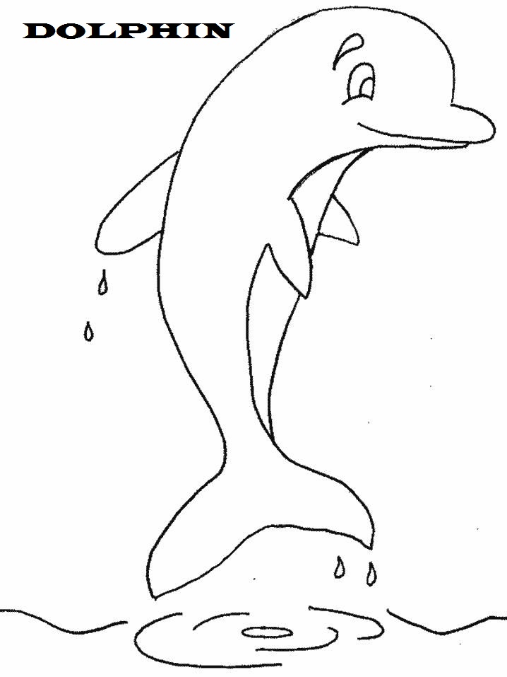 125 Free Printable Dolphin Coloring Pages for Kids 64