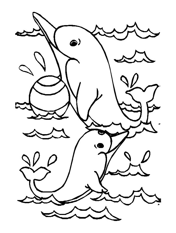 125 Free Printable Dolphin Coloring Pages for Kids 68