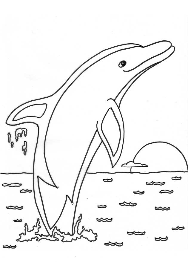 125 Free Printable Dolphin Coloring Pages for Kids 72