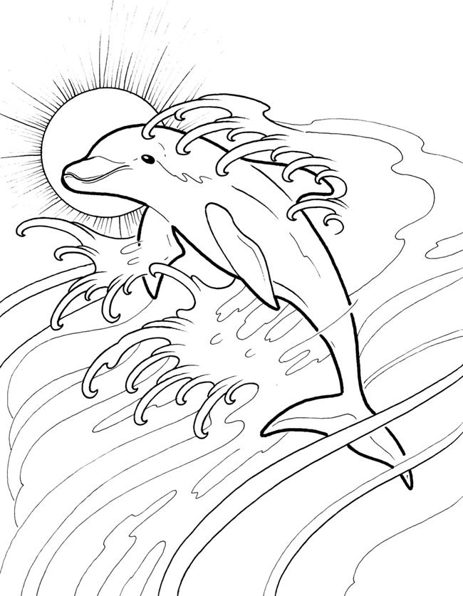 125 Free Printable Dolphin Coloring Pages for Kids 84