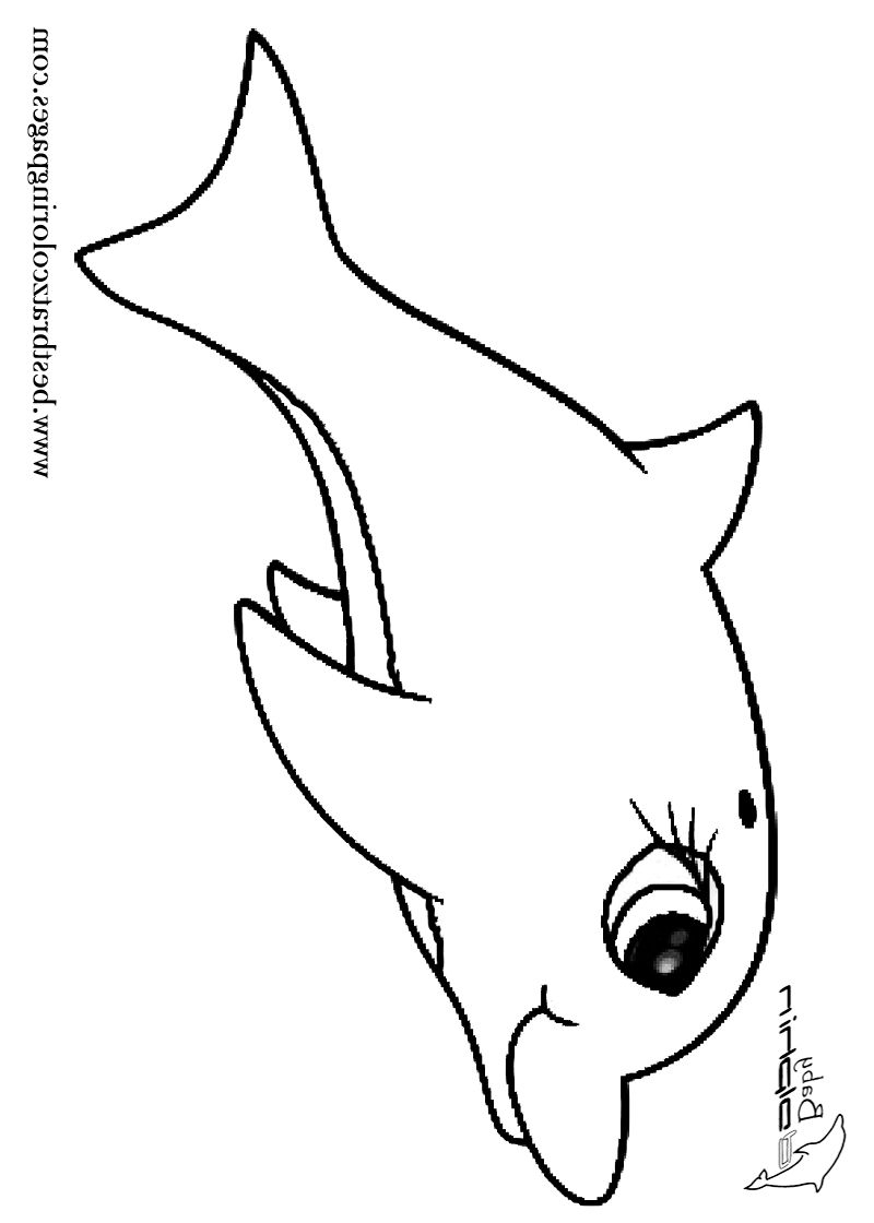 125 Free Printable Dolphin Coloring Pages for Kids 9