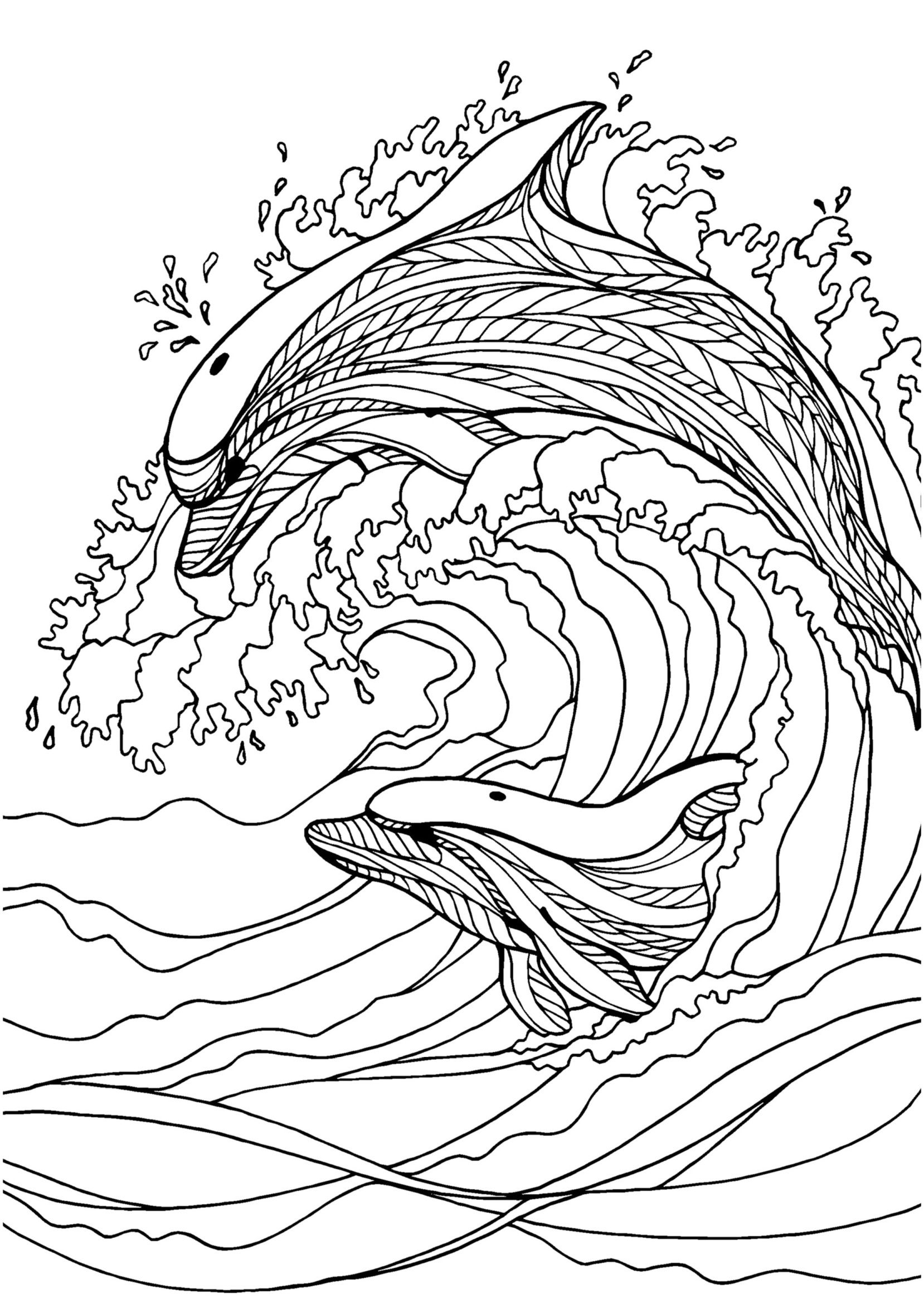 125 Free Printable Dolphin Coloring Pages for Kids 92