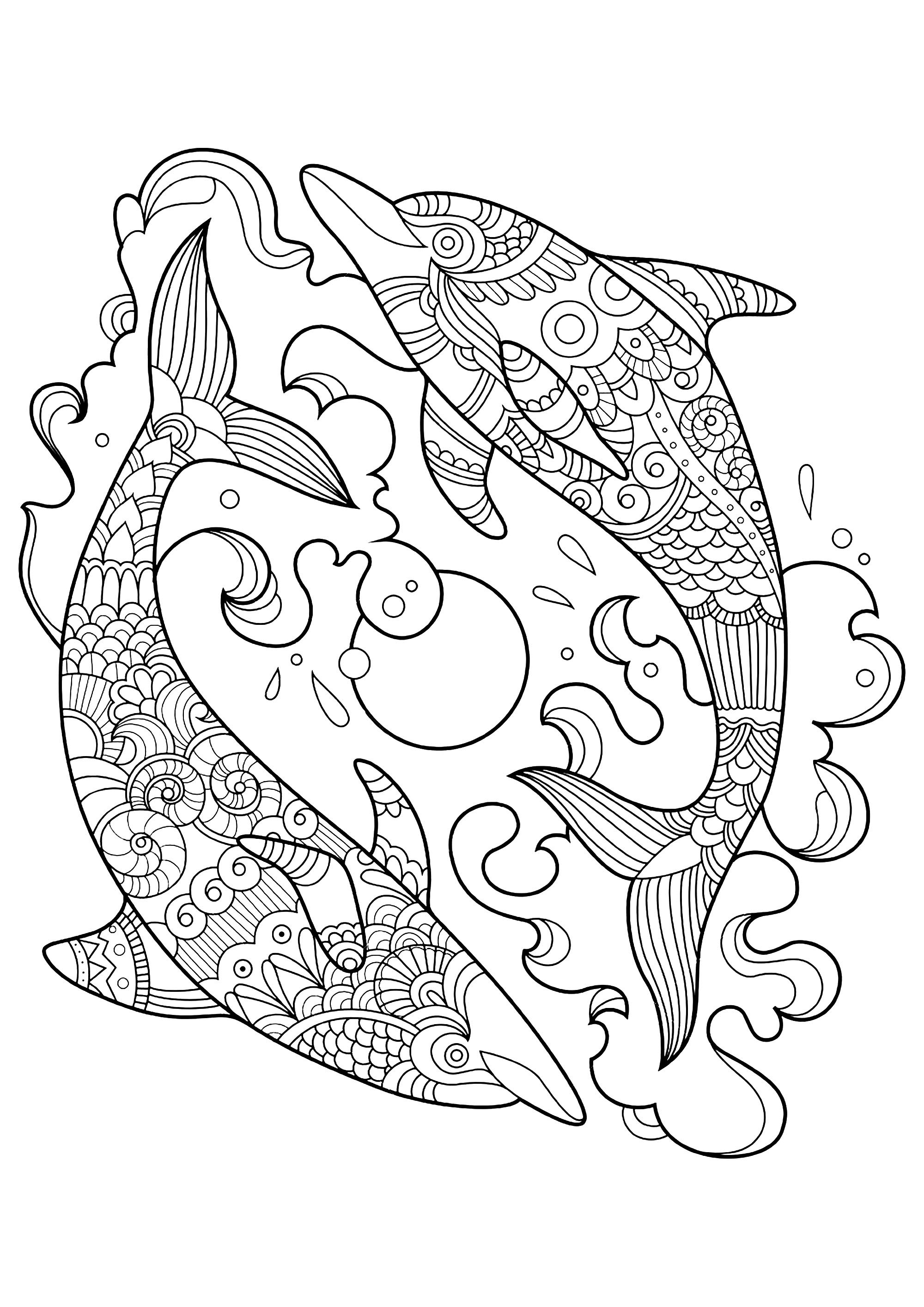 125 Free Printable Dolphin Coloring Pages for Kids 96