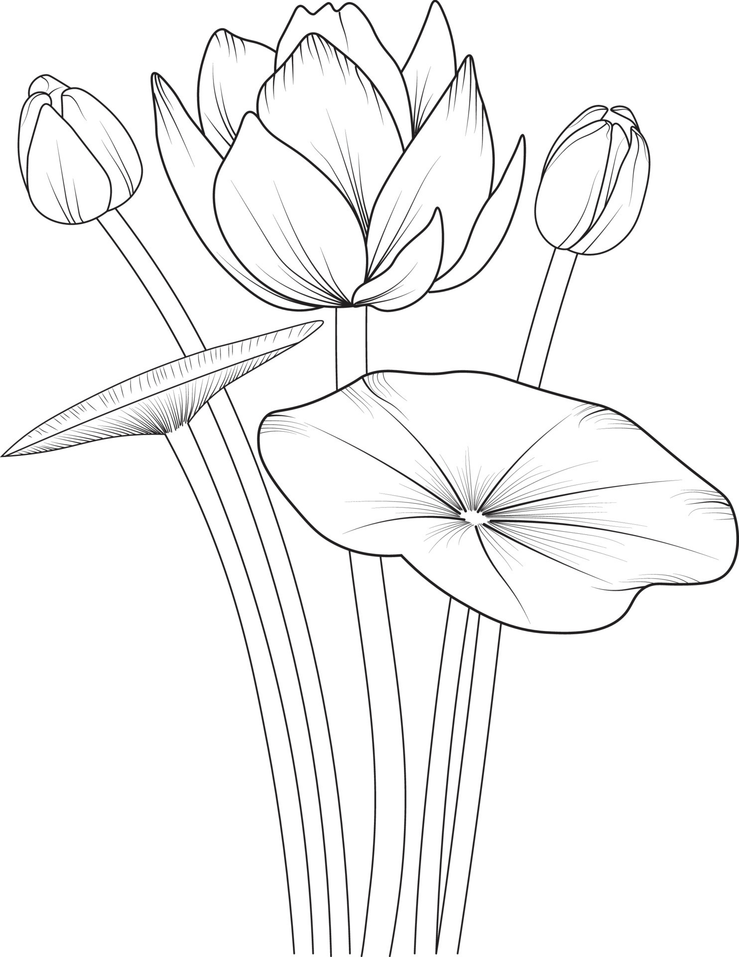 22 Flower Coloring Pages Colored In Printable