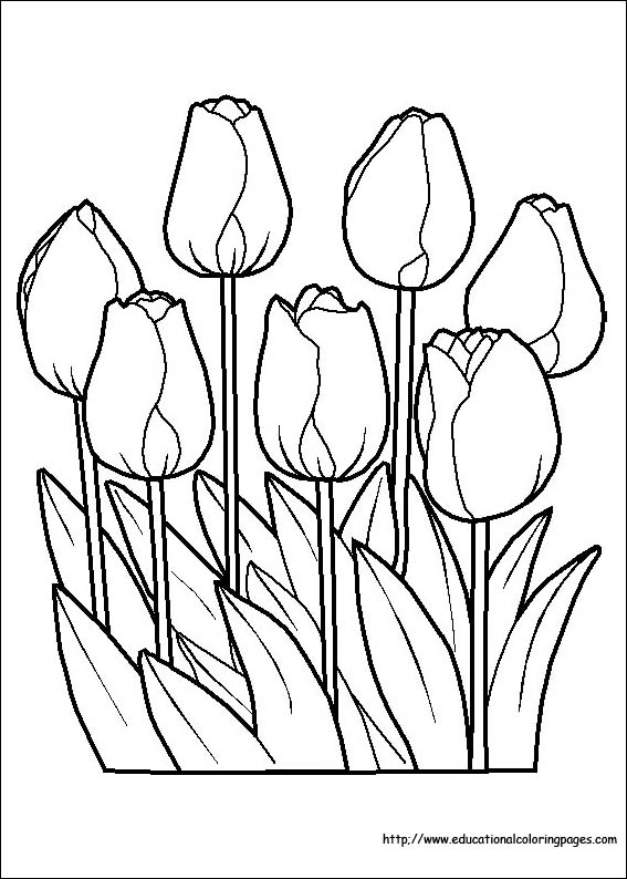 33 Flower Coloring Pages Cute Printable