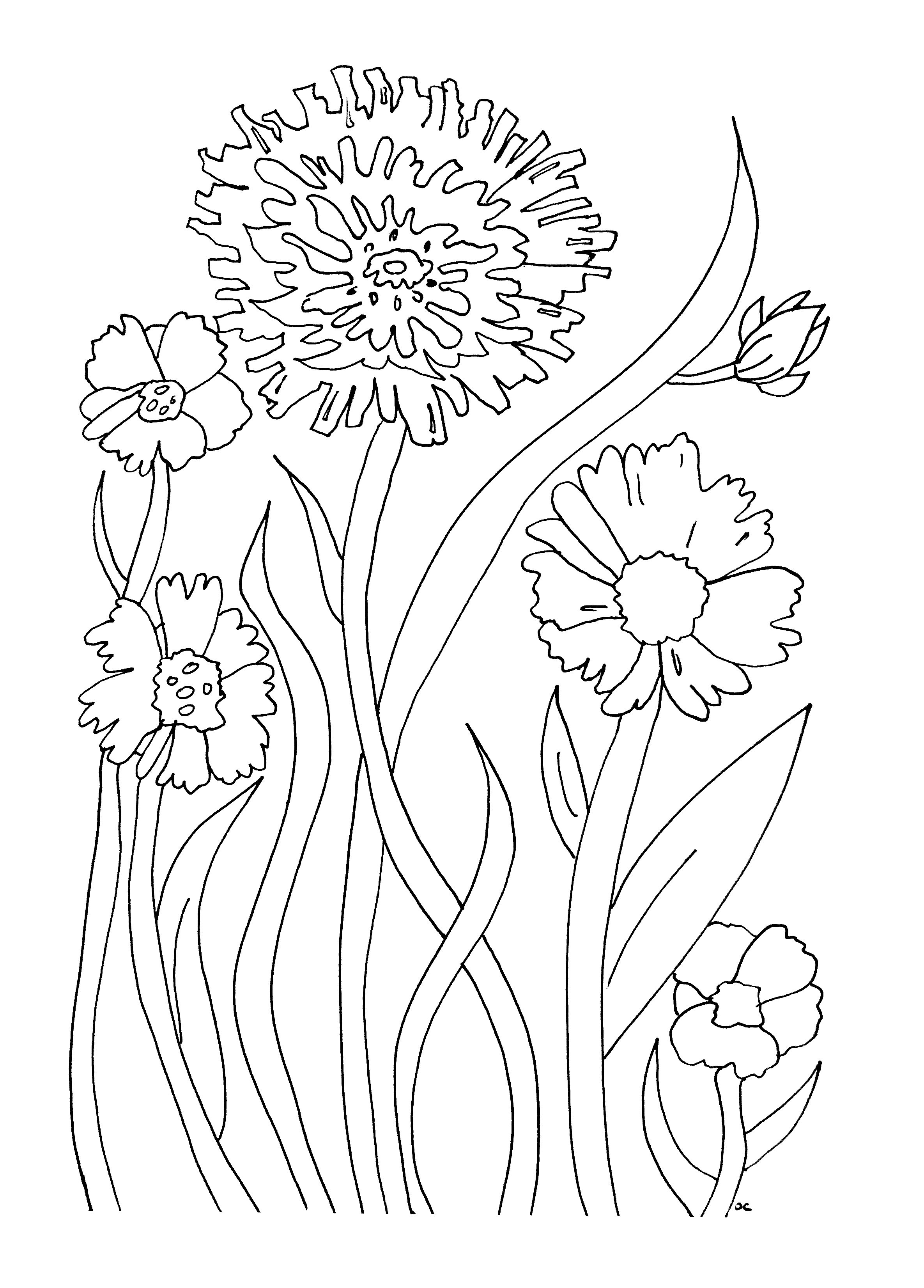 35 Flower Coloring Pages Easy Printable