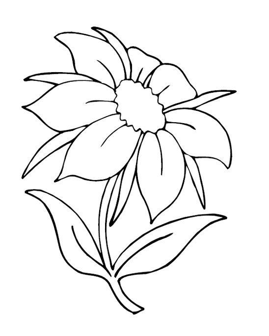 35 One Flower Coloring Pages Printable