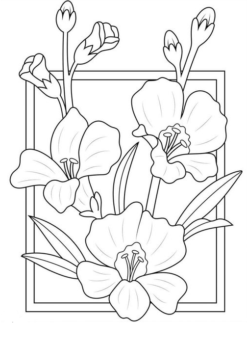 36 Flower Leaves Coloring Pages Printable