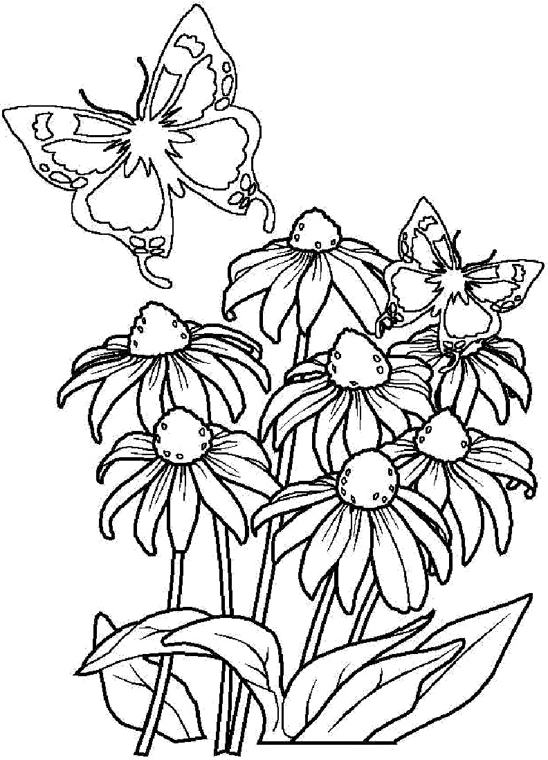 36 Geometric Flower Coloring Pages Printable