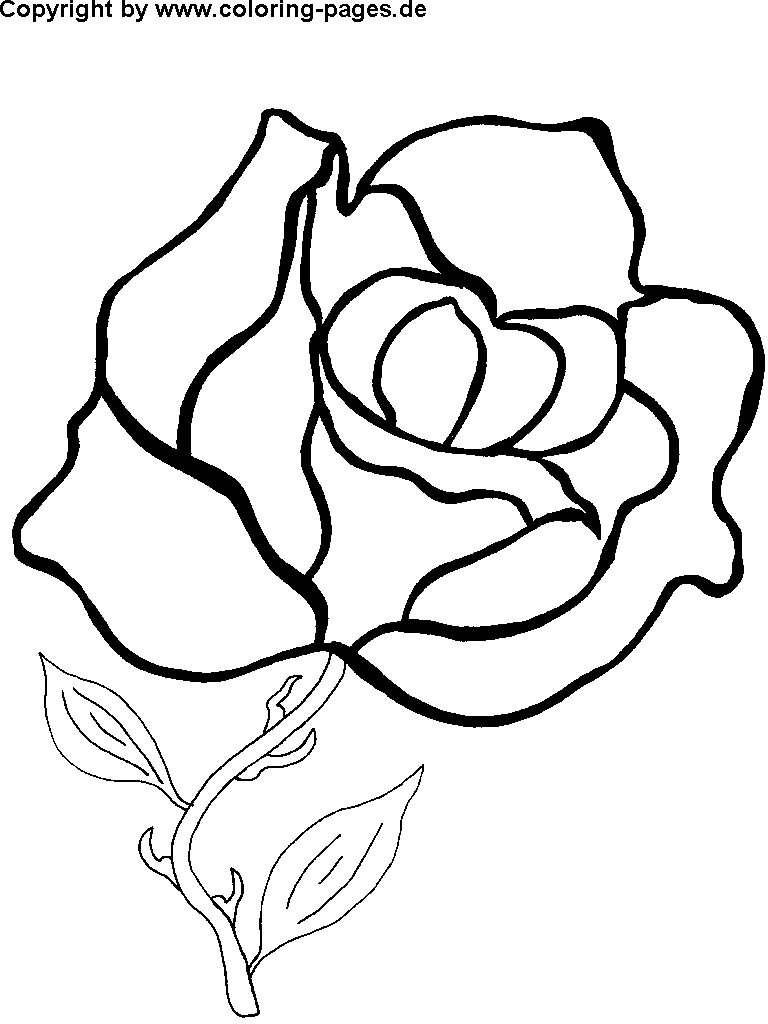 36 Large Flower Coloring Pages Printable