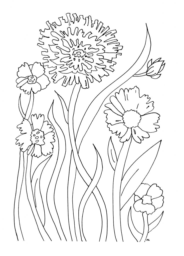 38 Summer Flower Coloring Pages Printable