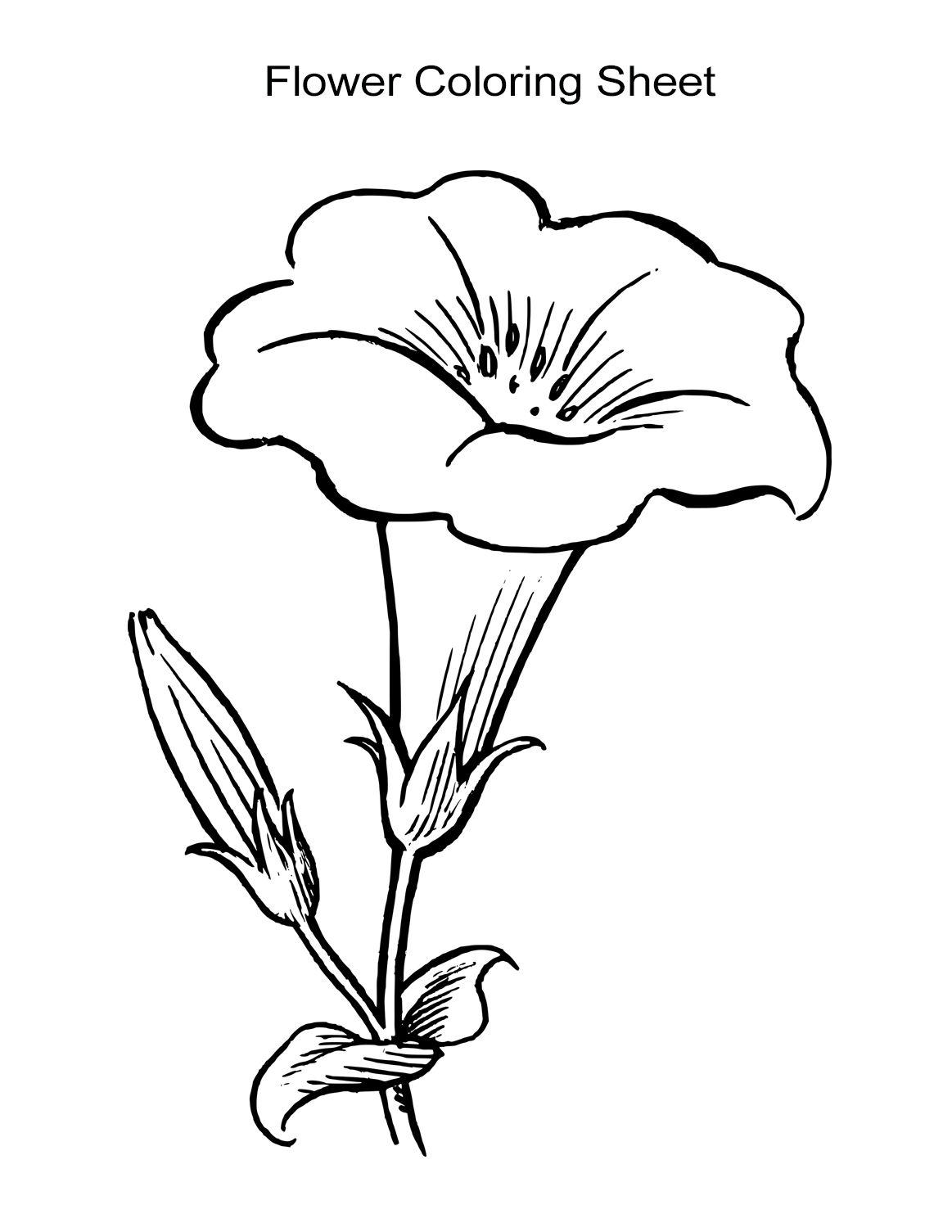 42 Flower Coloring Pages for Kids Children Printable