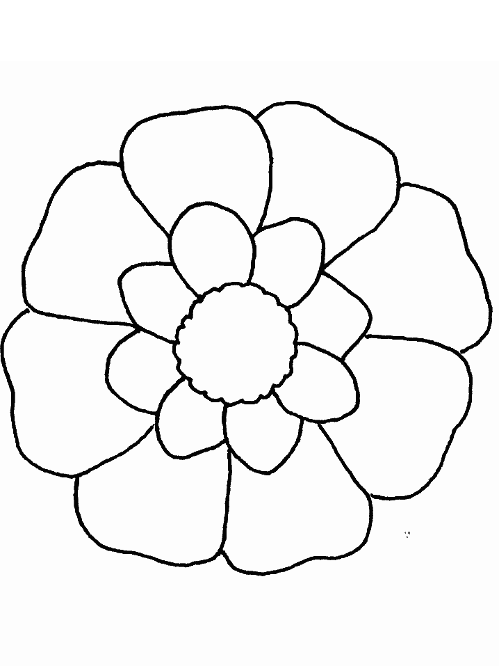 42 Flower Coloring Pages with Name Printable