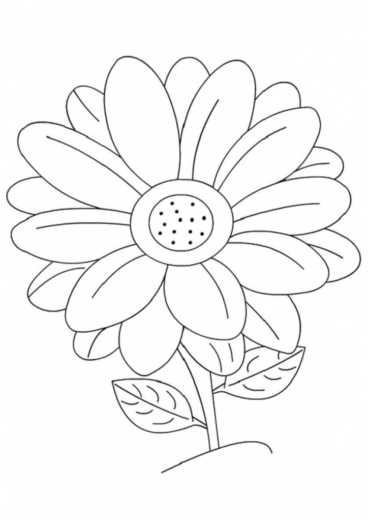 43 Tropical Flower Coloring Pages Printable