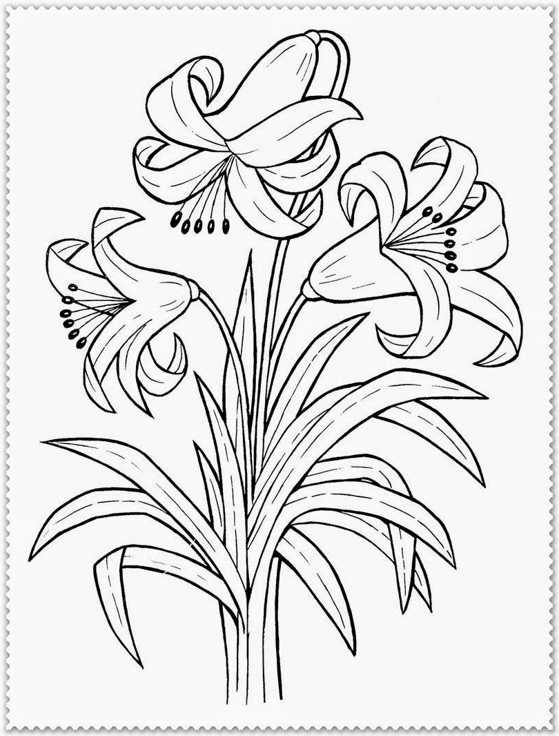 45 Flower Garden Coloring Pages for Kids Printable