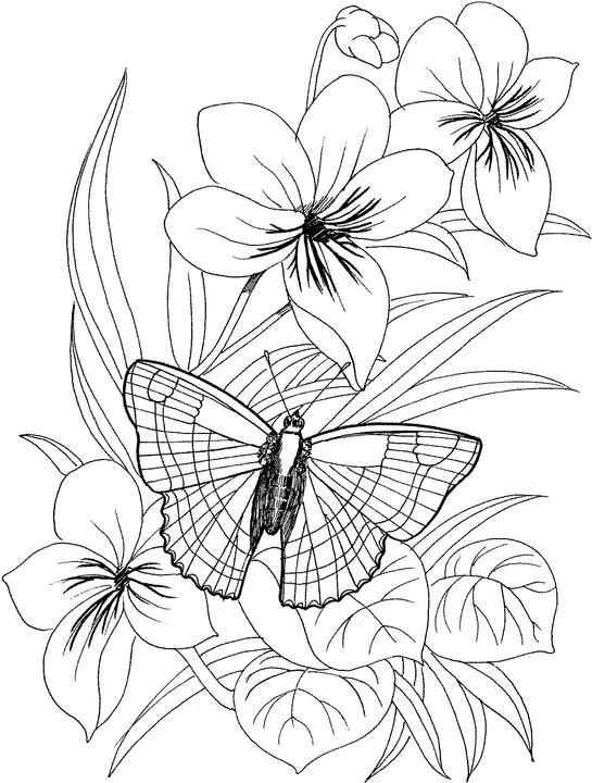 46 Easy Coloring Pages for Kids Flower Printable