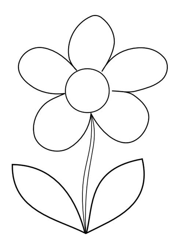 46 Flower Coloring Pages for Adults Easy Printable