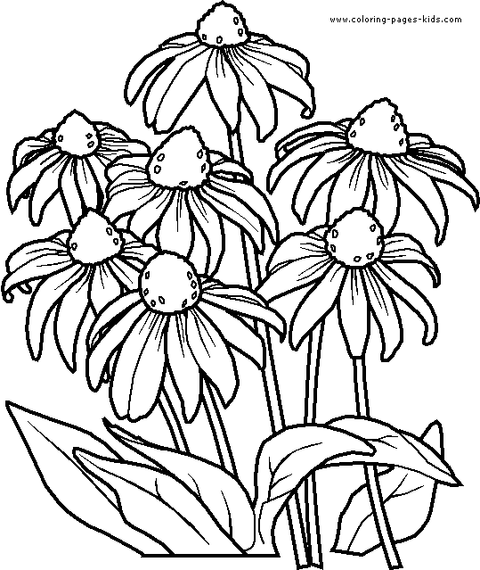 47 Flower Girl Coloring Pages for Adults Printable