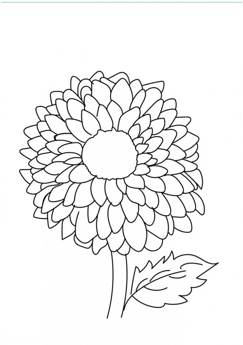 49 Flower Coloring Pages Already Colored Printable