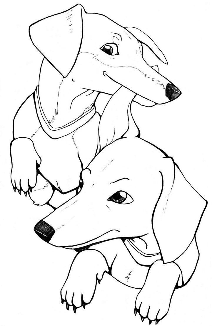 77 Dog Coloring Pages for Kids Printable 7