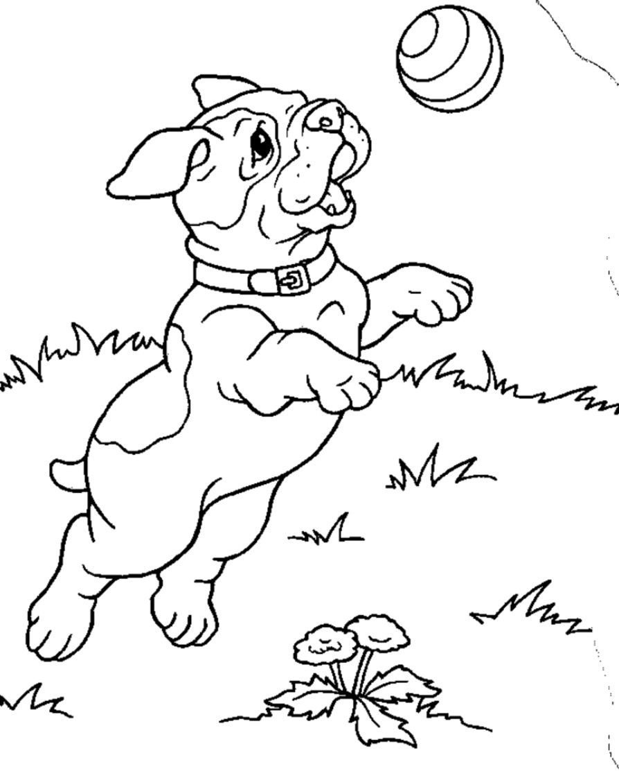 77 Dog Coloring Pages for Kids Printable 74