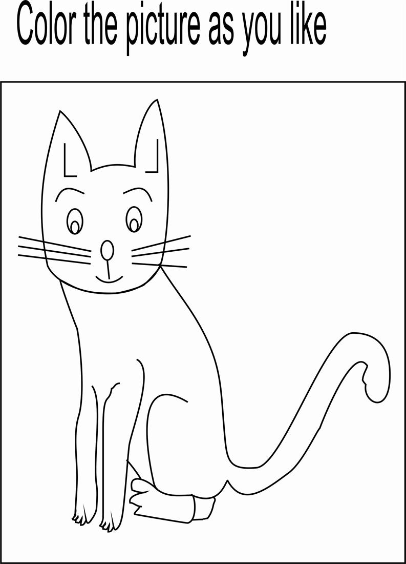 84 Adorable Pete The Cat Coloring Pages Printable 16