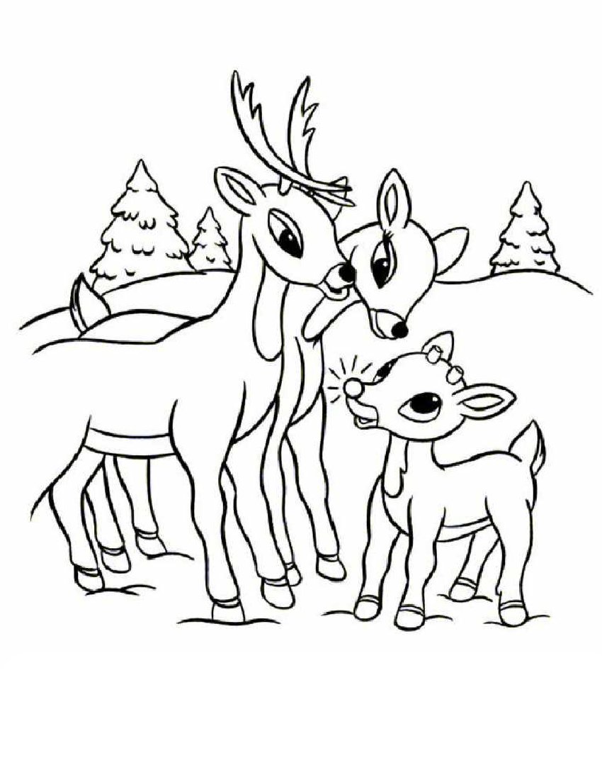 90 Rudolph Coloring Pages for Kids Printable 9