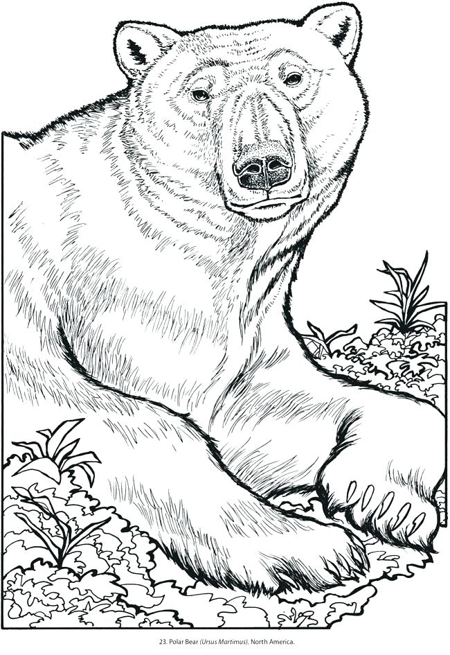 91 Wild Animal Coloring Pages Printable 11