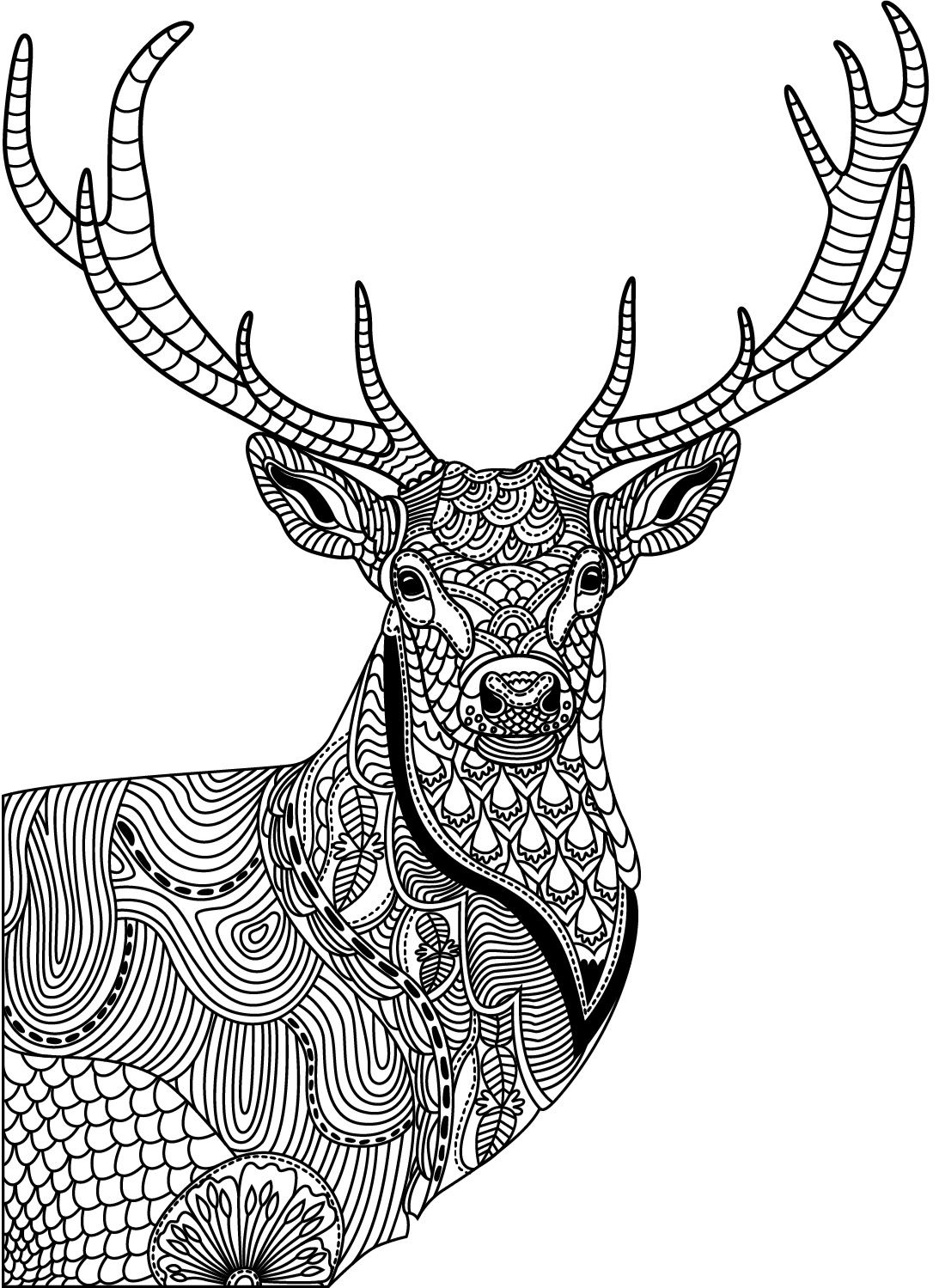 91 Wild Animal Coloring Pages Printable 14