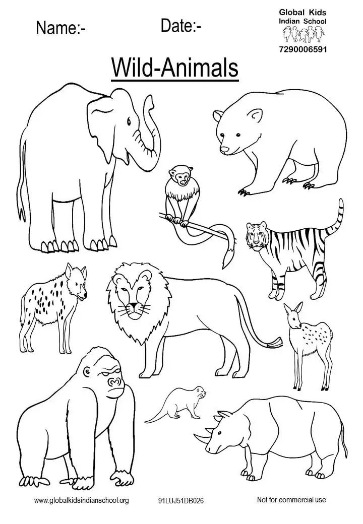 91 Wild Animal Coloring Pages Printable 17