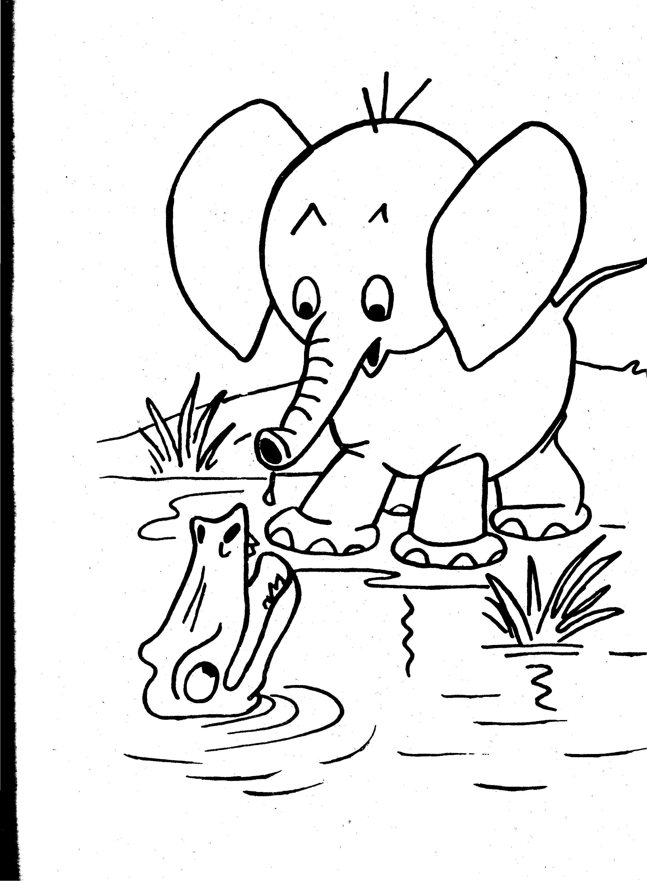 91 Wild Animal Coloring Pages Printable 21