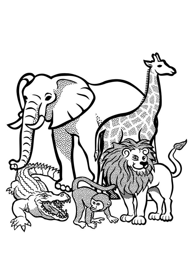 91 Wild Animal Coloring Pages Printable 35