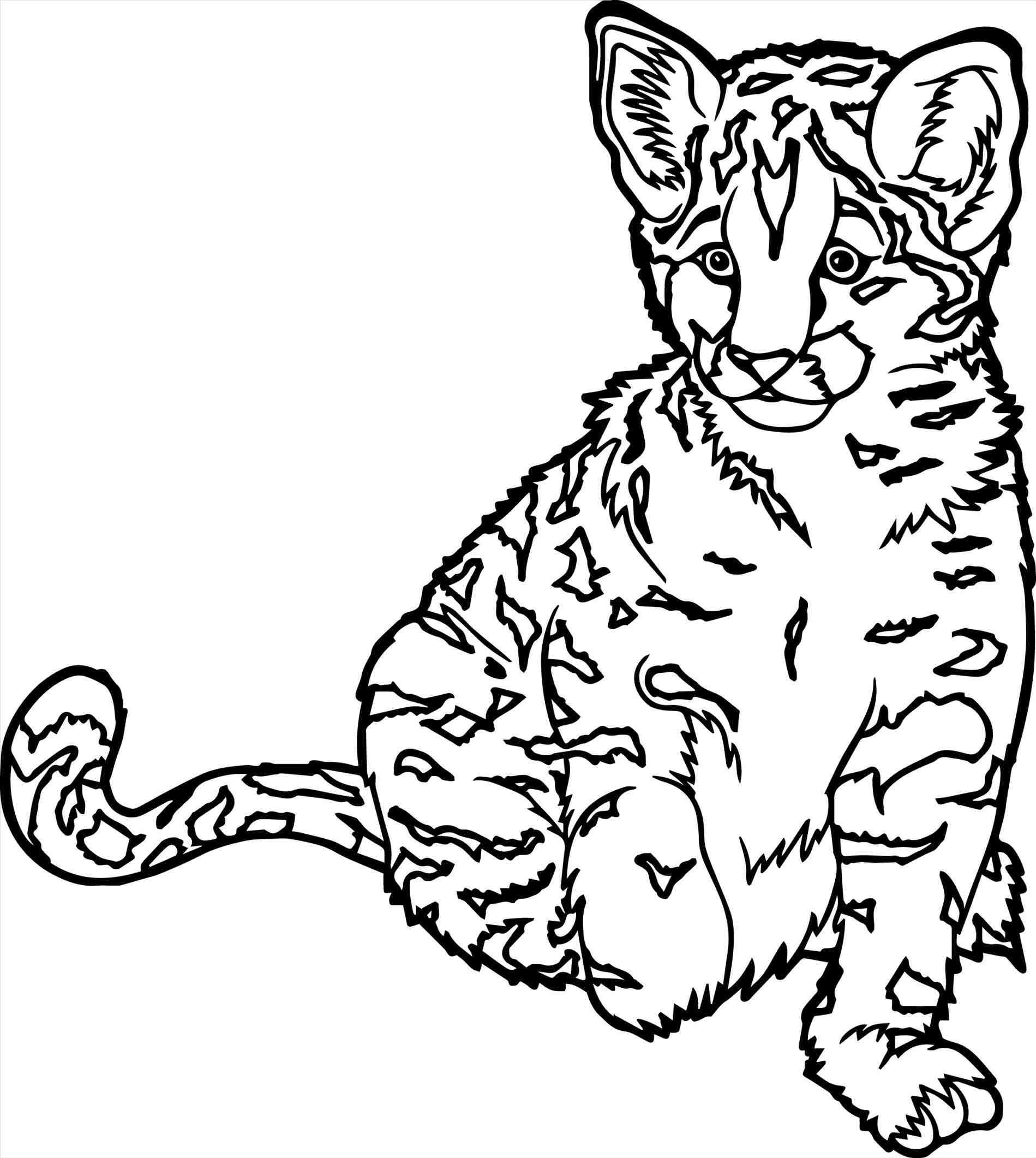 91 Wild Animal Coloring Pages Printable 39