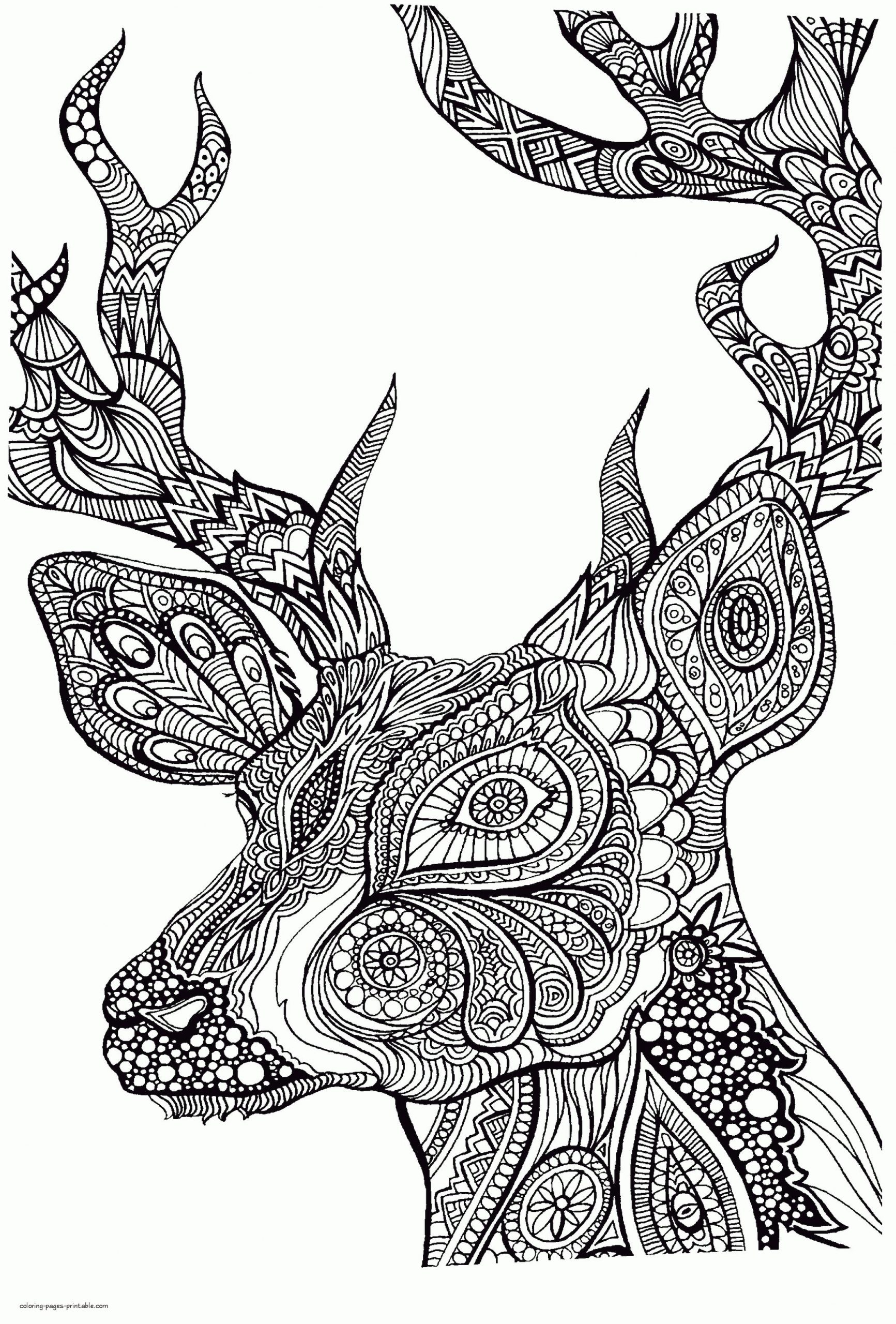 91 Wild Animal Coloring Pages Printable 41