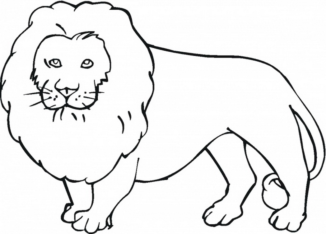 91 Wild Animal Coloring Pages Printable 46