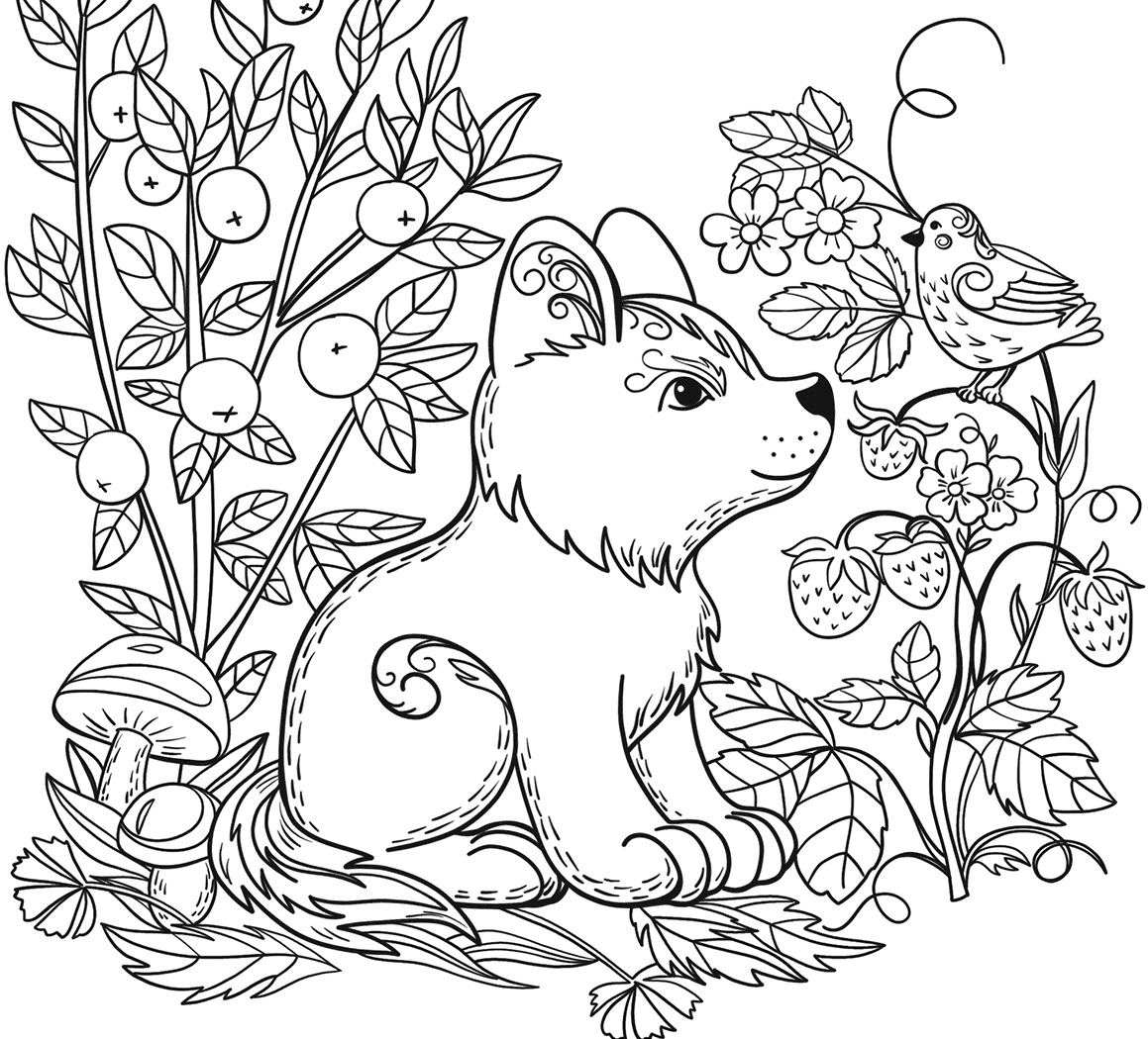 91 Wild Animal Coloring Pages Printable 48